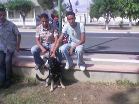 moi et halom